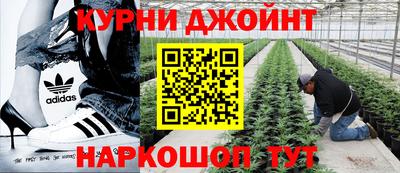 PSILOCYBIN Бугуруслан
