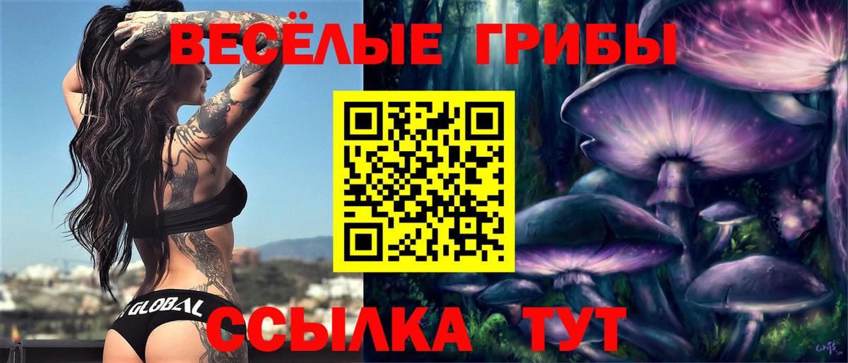Галлюциногенные грибы Psilocybine cubensis  Вход с VPN  Озёры 