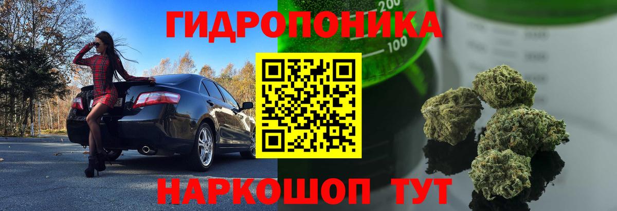 Марихуана индика  Вход с VPN  Марихуана план  Озёры 